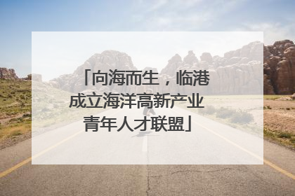 向海而生，临港成立海洋高新产业青年人才联盟